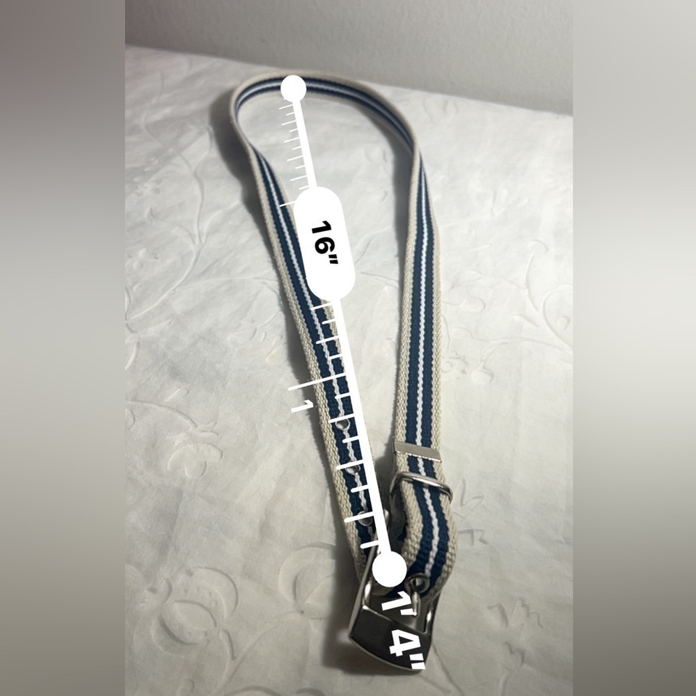 Belt - Picture 5 of 5